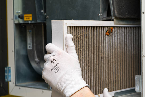 Best Air Quality Test  in Coalfield, TN